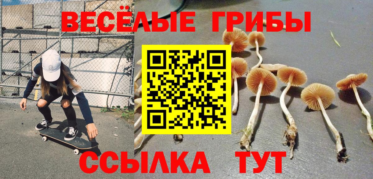 Галлюциногенные грибы мицелий Алатырь